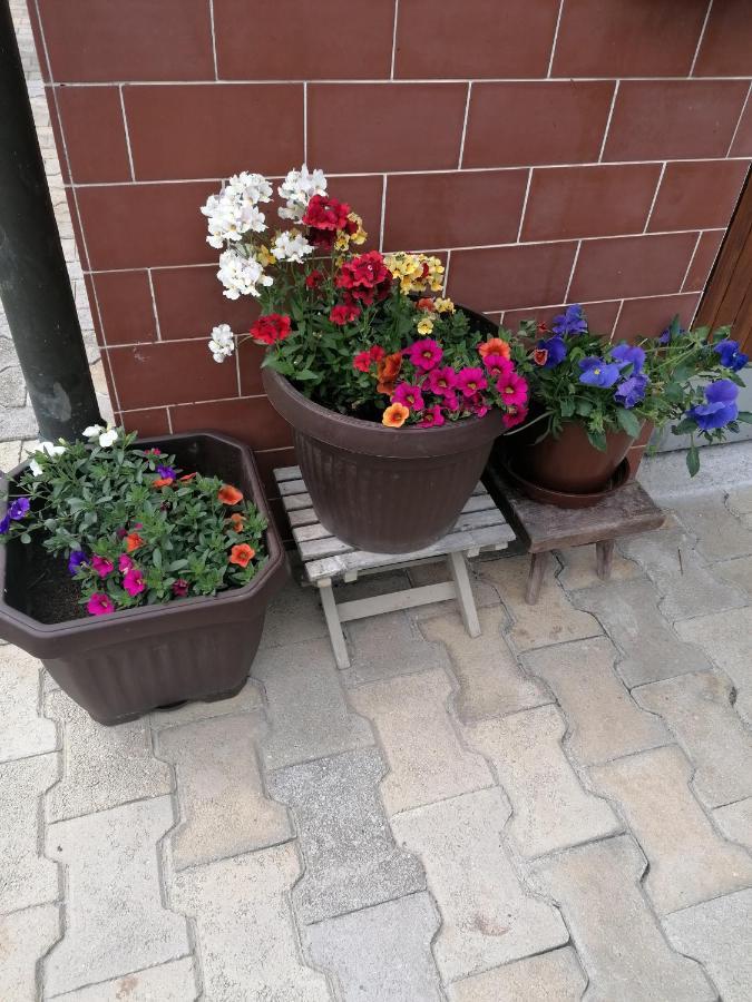 Apartments Novak Ljubno Dış mekan fotoğraf