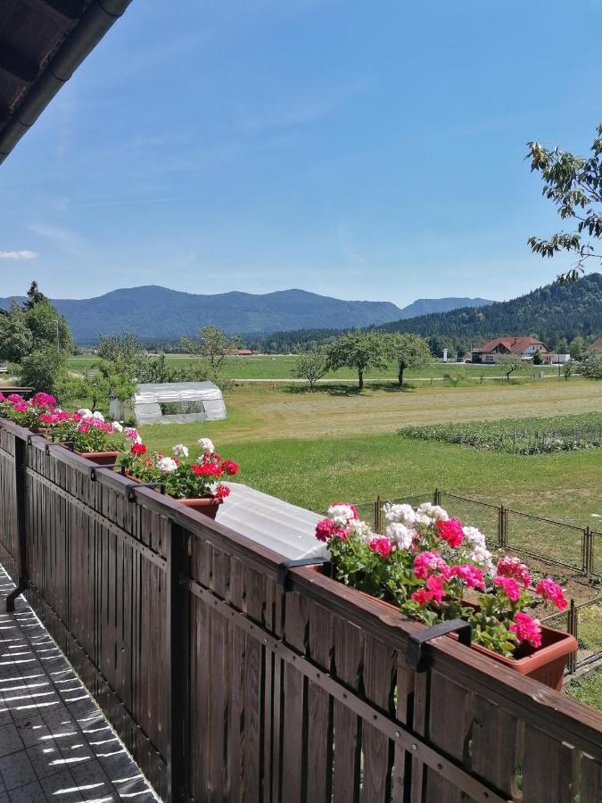 Apartments Novak Ljubno Dış mekan fotoğraf