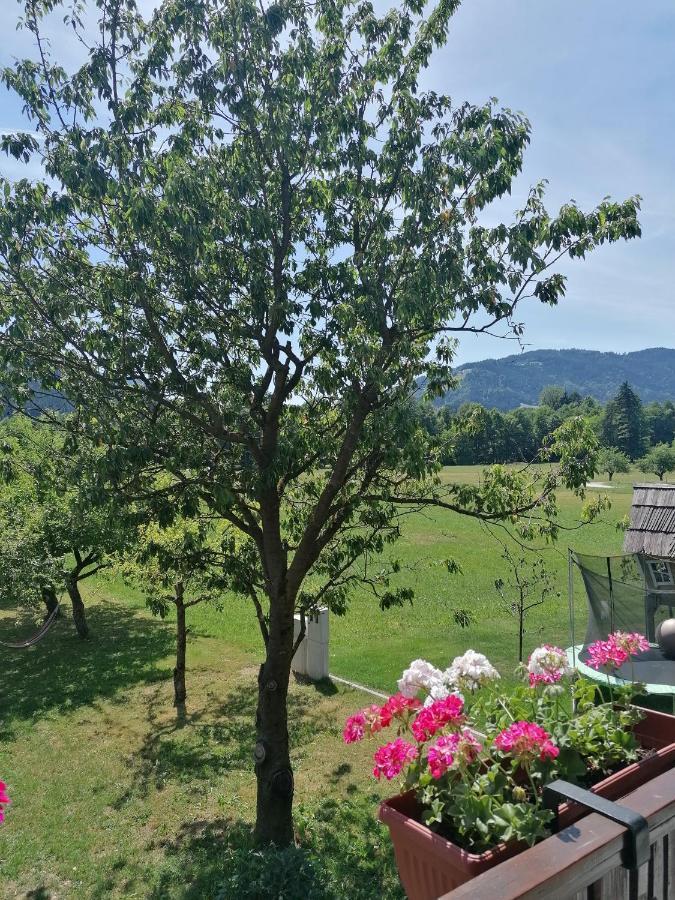 Apartments Novak Ljubno Dış mekan fotoğraf