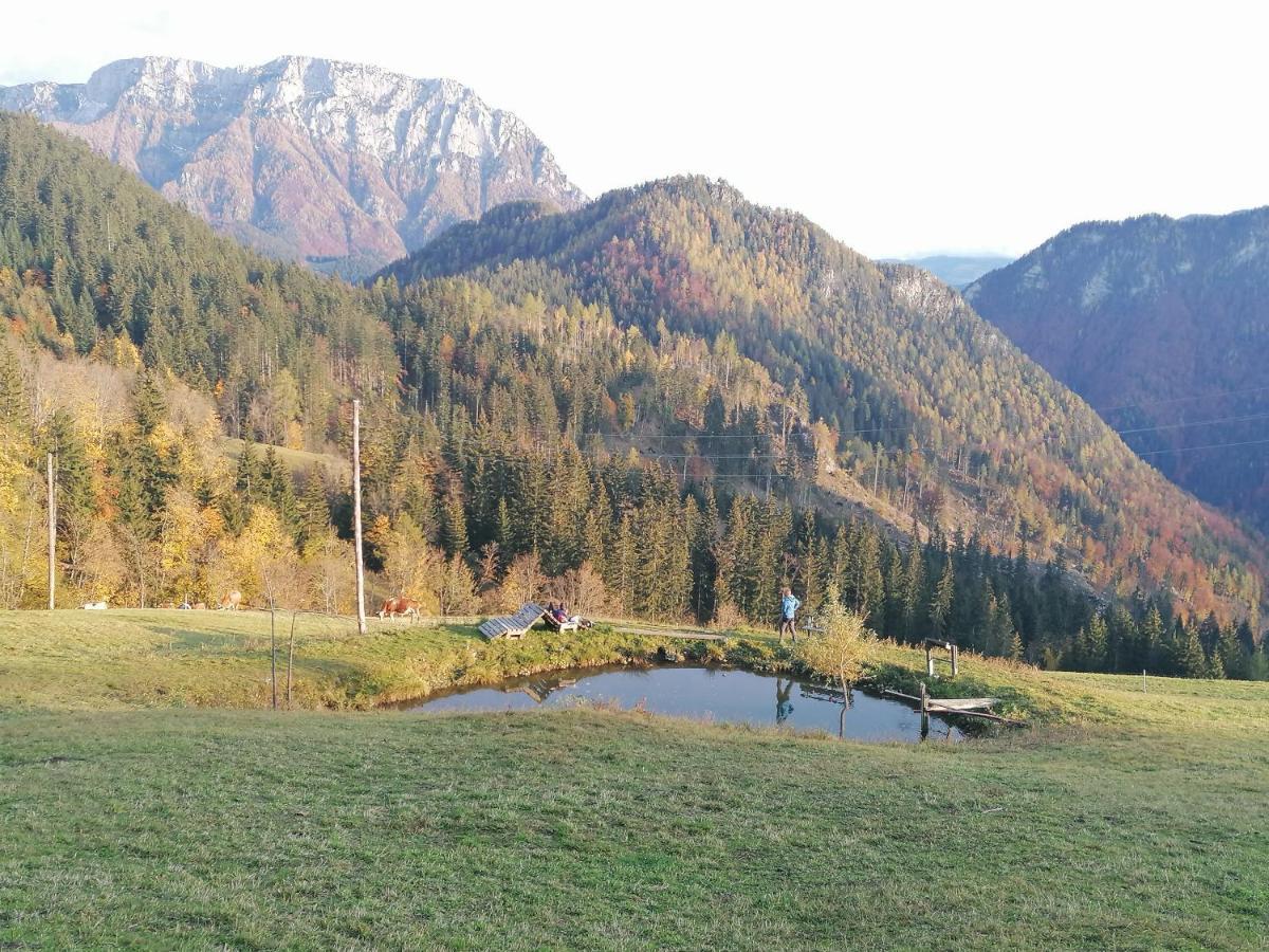 Apartments Novak Ljubno Dış mekan fotoğraf