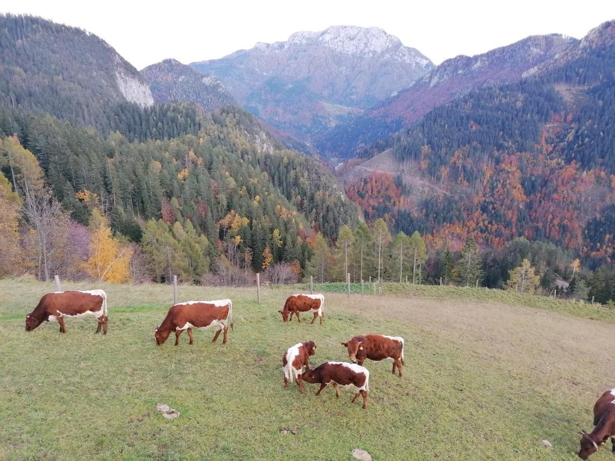 Apartments Novak Ljubno Dış mekan fotoğraf