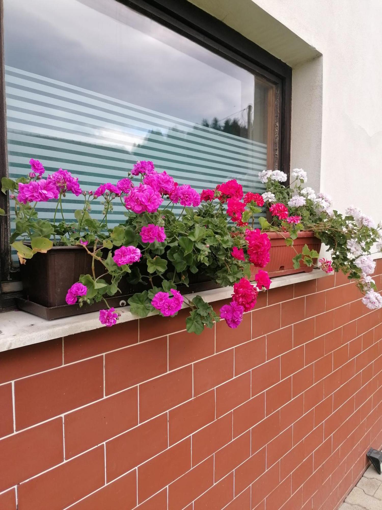 Apartments Novak Ljubno Dış mekan fotoğraf