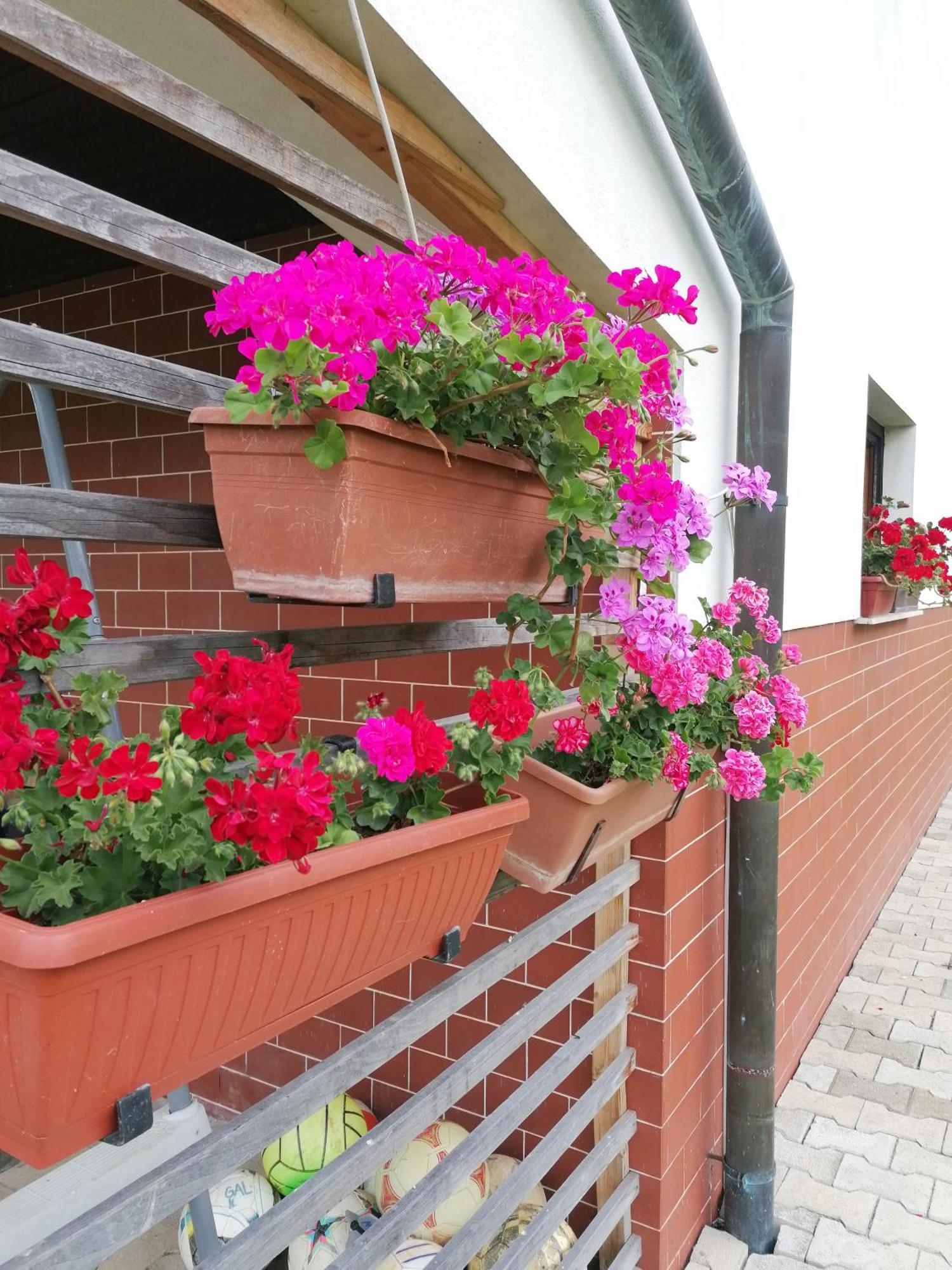 Apartments Novak Ljubno Dış mekan fotoğraf