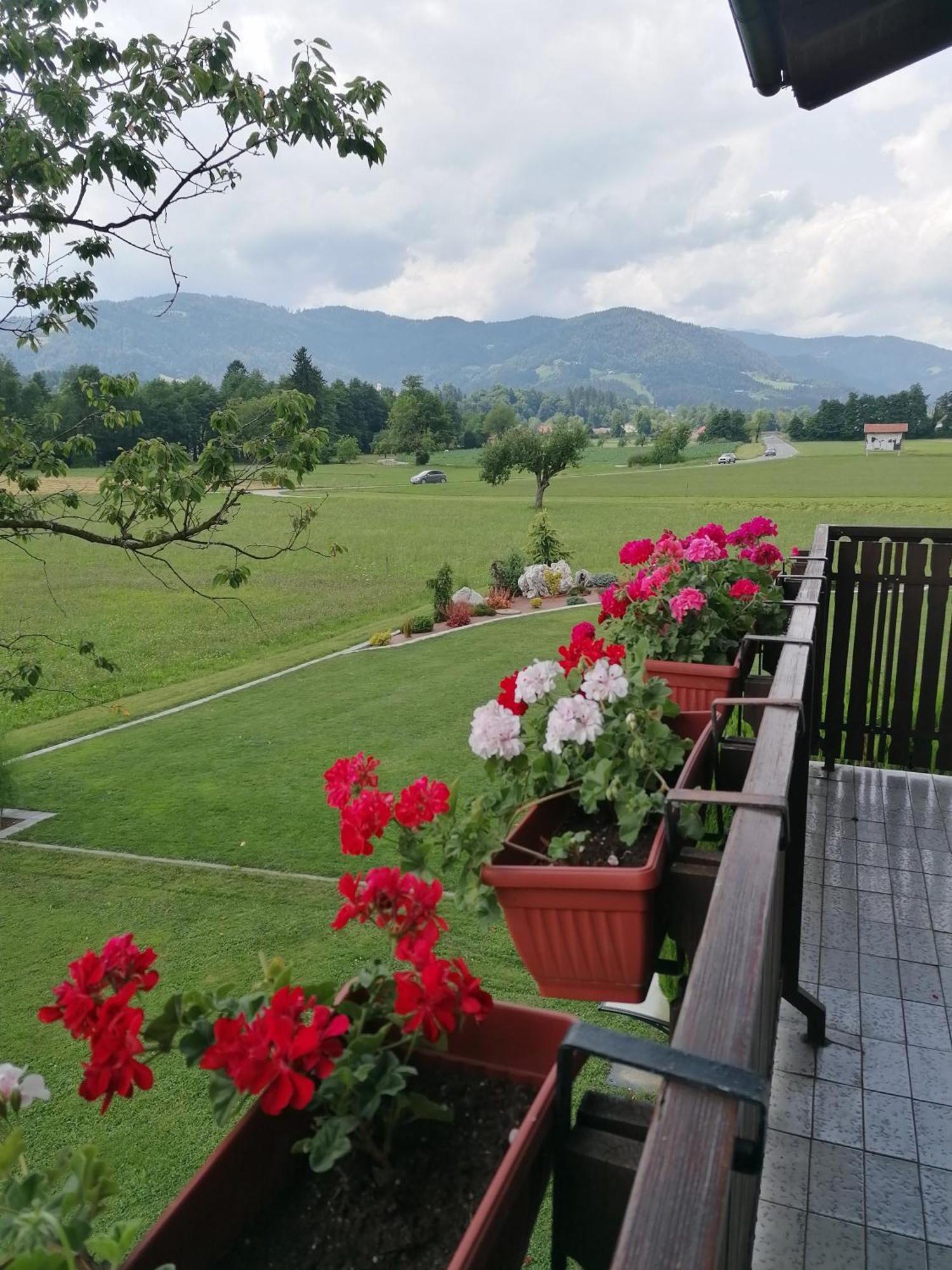 Apartments Novak Ljubno Dış mekan fotoğraf