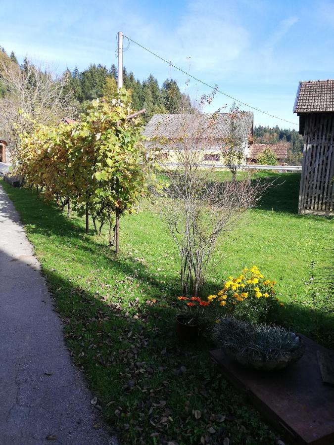 Apartments Novak Ljubno Dış mekan fotoğraf